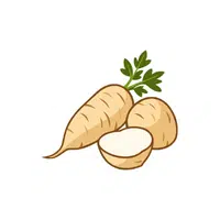 Parsnip | Seasonal Vegetables Names