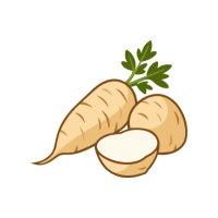 Parsnip | White Vegetables Names