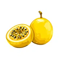 Passionfruit | Coastal Fruits Names