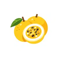Passionfruit | Fruit Plants Names