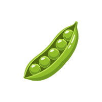 Pea | Pod Vegetables Names
