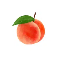 Peach | Fruit Plants Names