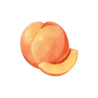 Peach | Mountain Fruits Names