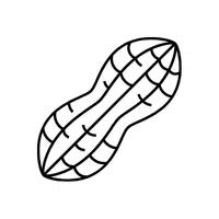 Peanut | Seed Vegetables Names