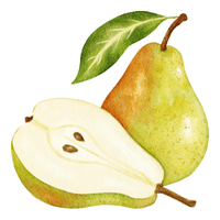 Pear | Autumn Fruits Names