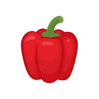 Pepper | Seed Vegetables Names