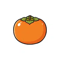 Persimmon | Fruit Plants Names