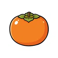 Persimmon | Mountain Fruits Names