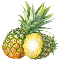 Pineapple | Autumn Fruits Names