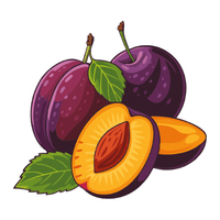 Plum | Autumn Fruits Names