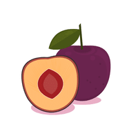 Plum | Spring Fruits Names