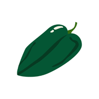 Poblano | Seed Vegetables Names