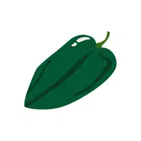 Poblano | Seed Vegetables Names