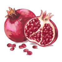 Pomegranate | Autumn Fruits Names