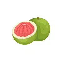 Pomelo | Fruit Plants Names