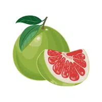 Pomelo | Coastal Fruits Names