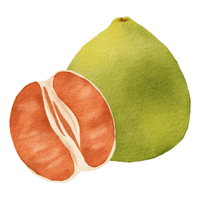 Pomelo | Autumn Fruits Names