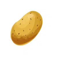Potato | Bulb Vegetables Names