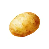 Potato | Root Vegetables Names