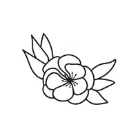 Potentilla | Shrub Plants Names