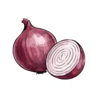 Prairie | Bulb Vegetables Names