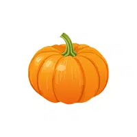 Pumpkin | Seasonal Vegetables Names