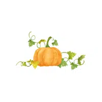 Pumpkin leaf | Seasonal Vegetables Names