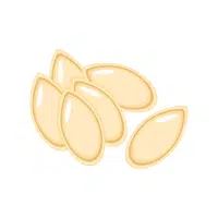 Pumpkinseed | Seed Vegetables Names