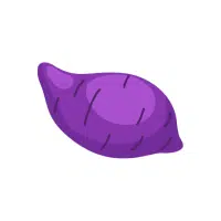 Purple Yam | Tuber Vegetables Names