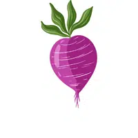 Purpleturnip | Root Vegetables Names