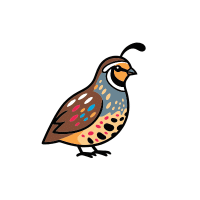 Quail | Game Birds Names