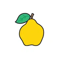 Quince | Fruit Plants Names