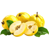 Quince | Autumn Fruits Names