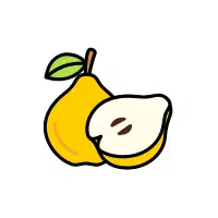 Quince | Mountain Fruits Names