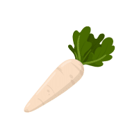 Radish | White Vegetables Names
