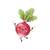 Radish | Seasonal Vegetables Names