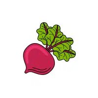Radish leaf | Seasonal Vegetables Names
