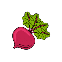 Radish