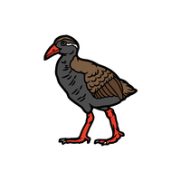 Rail | Migratory Birds Names