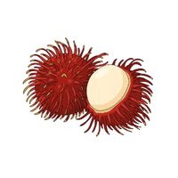 Rambutan | Island Fruits Names