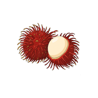 Rambutan | Autumn Fruits Names