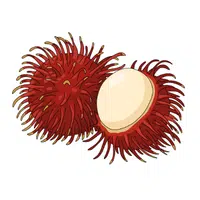 RambutanLychee | Coastal Fruits Names