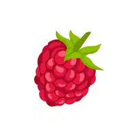 Raspberry | Fruit Plants Names