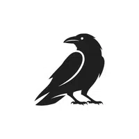 Raven | Arctic Birds Names