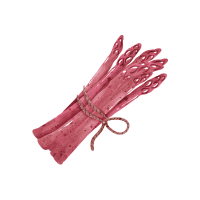 Red Asparagus