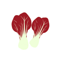 Red Bokchoy