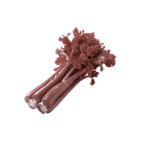 Red Celery