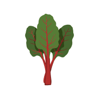 Red Chard