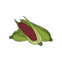 Red Corn