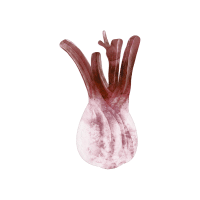 Red Fennel | Red Vegetables Names